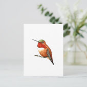 Rosse Kolibrie Briefkaart (Staand voorkant)