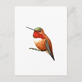 Rosse Kolibrie Briefkaart