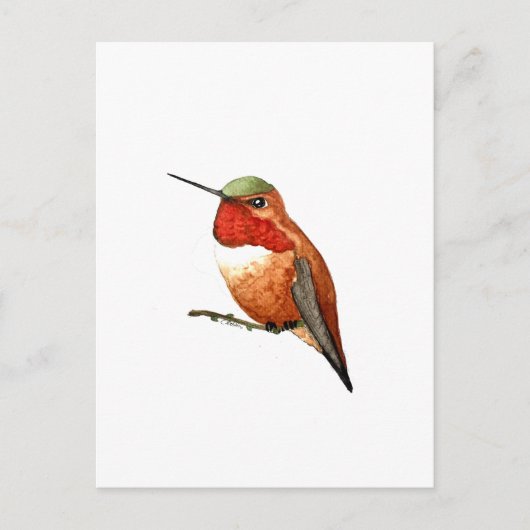 Rosse Kolibrie Briefkaart (Voorkant)