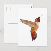 Rosse Kolibrie Briefkaart (Voorkant / Achterkant)
