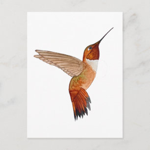 Rosse Kolibrie Briefkaart