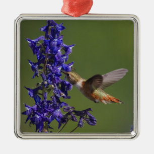 Rosse Kolibrie Metalen Ornament