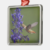 Rosse Kolibrie Metalen Ornament (Links)