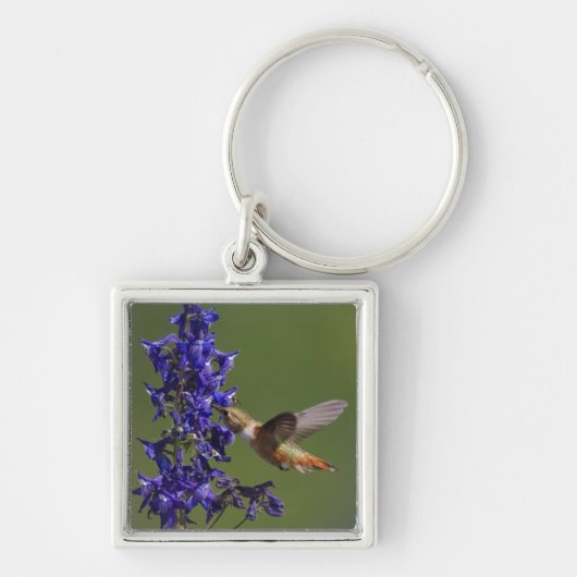 Rosse Kolibrie Sleutelhanger (Voorkant)