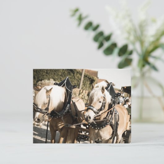 RÖSSER BEI HAAGER HERBSTFEST EINZUG BRIEFKAART (Staand voorkant)