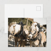 RÖSSER BEI HAAGER HERBSTFEST EINZUG BRIEFKAART (Voorkant / Achterkant)