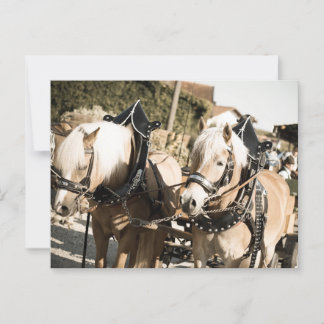 RÖSSER BEI HAAGER HERBSTFEST EINZUG BRIEFKAART