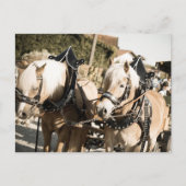 RÖSSER BEI HAAGER HERBSTFEST EINZUG BRIEFKAART (Voorkant)