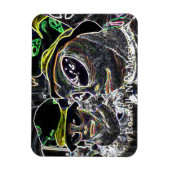 Roswell, New Mexico Magneet (Verticaal)