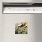 Roswell UFO Crash Magnet (Insitu (Vaatwasser))