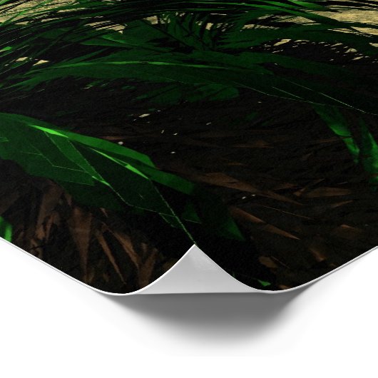 Roswell UFO Crash Poster (Hoek)