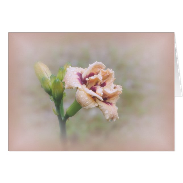 Roswitha Daylily Floral - Pastel (Voorkant Horizontaal)