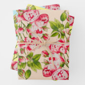 Rosy Abundance op wikkelpapier Set Inpakpapier Vel (In situ)