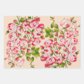 Rosy Abundance op wikkelpapier Set Inpakpapier Vel (Voorkant)