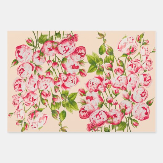 Rosy Abundance op wikkelpapier Set Inpakpapier Vel (Voorkant)