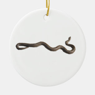 Rosy Boa Circle Ornament