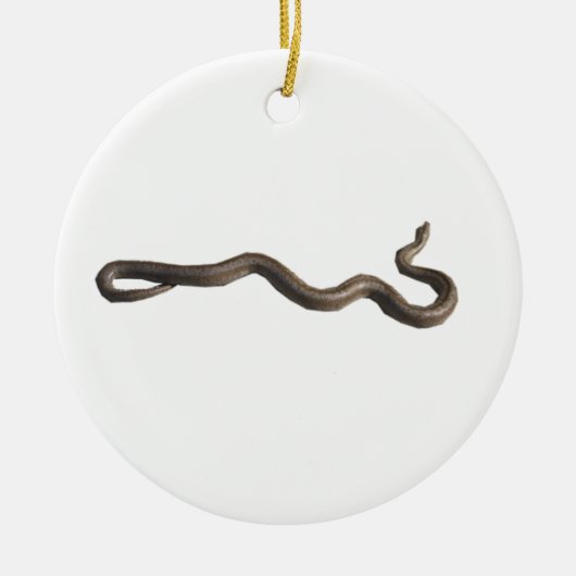 Rosy Boa Circle Ornament (Voorkant)