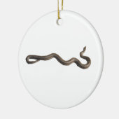 Rosy Boa Circle Ornament (Links)