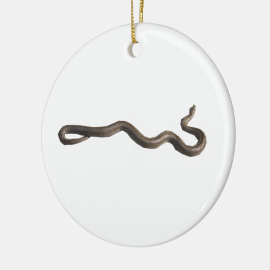 Rosy Boa Circle Ornament (Links)