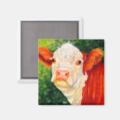 Rosy de gelukkige Heifer Hereford Koe magneet (Voorkant / Achterkant)