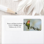 Rosy-gelaatstrekkende liefvogel op een tak etiket (Insitu)