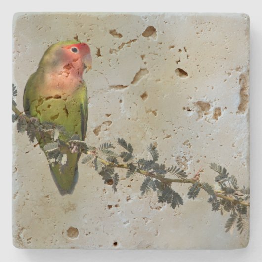 Rosy-gelaatstrekkende liefvogel op een tak stenen onderzetter (Voorkant)