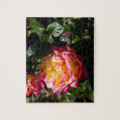 Rosy Glow Legpuzzel (Verticaal)