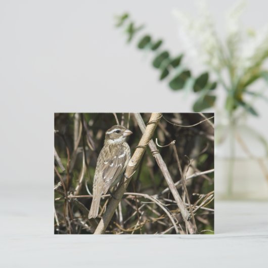 Rosy Gros Briefkaart (Staand voorkant)