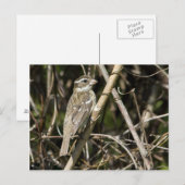 Rosy Gros Briefkaart (Voorkant / Achterkant)