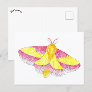 Rosy Maple Moth Briefkaart