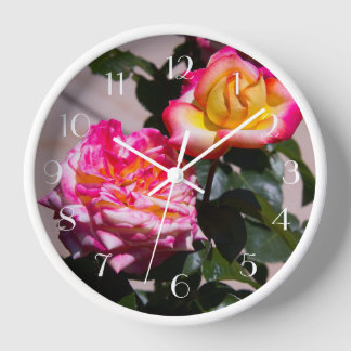 Rosy Outlook