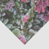 Rosy Paarse Green Foliage Botanische Fotografische Tissuepapier (Detail)