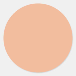 Rosy Peach Beige Classic Ronde Sticker