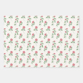 Rosy Picnic Trio 3 Inpakpapier Vel (Voorkant)