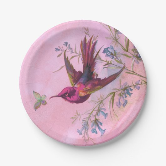Rosy Red Hummingbird Papieren Bordje (Voorkant)