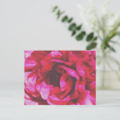 Rosy Roos Briefkaart (Staand voorkant)