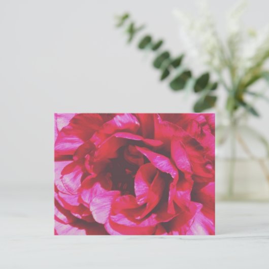 Rosy Roos Briefkaart (Staand voorkant)