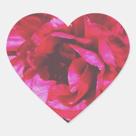 Rosy Roos hart Stickers (Voorkant)