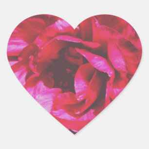 Rosy Roos Heart Stickers