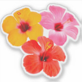 Rot Orange Pink Hibiskus Blumen Sticker (Voorkant)