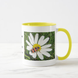 Rot-schwarzer Käfer auf weisser Margerite, Tasse Mok