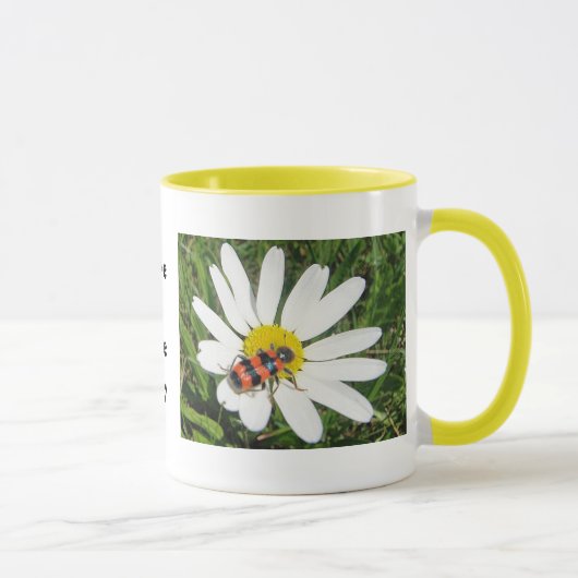 Rot-schwarzer Käfer auf weisser Margerite, Tasse Mok (Rechts)
