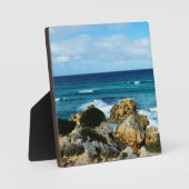 Rot van de oceaan fotoplaat (Voorkant)