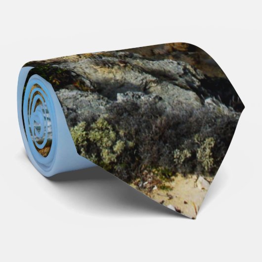 Rot van de oceaan, Stropdas (Opgerold)