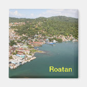 Rotan magneet (Voorkant)