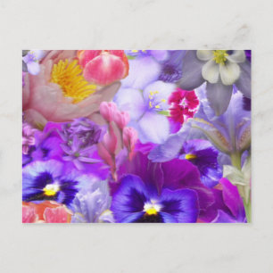 Rotary Garden Briefkaart