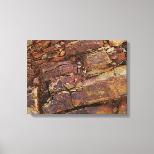 rotatief uitzicht canvas afdrukken (Voorkant)
