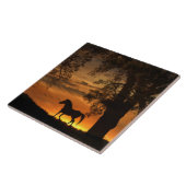  rotatiepaarden in de zon tegeltje (Zijkant)