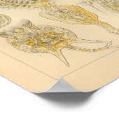 Rotatoria-kleur Ernst Haeckel afdrukken Poster (Hoek)