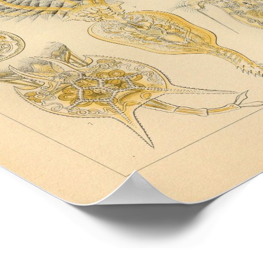  Rotatoria-kleur Ernst Haeckel afdrukken Poster (Hoek)